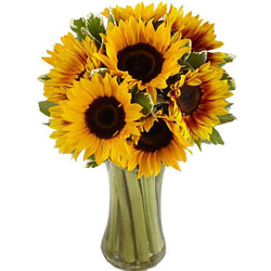 Sunflower from Bixby Flower Basket in Bixby, Oklahoma