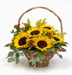Soak up Summer from Bixby Flower Basket in Bixby, Oklahoma